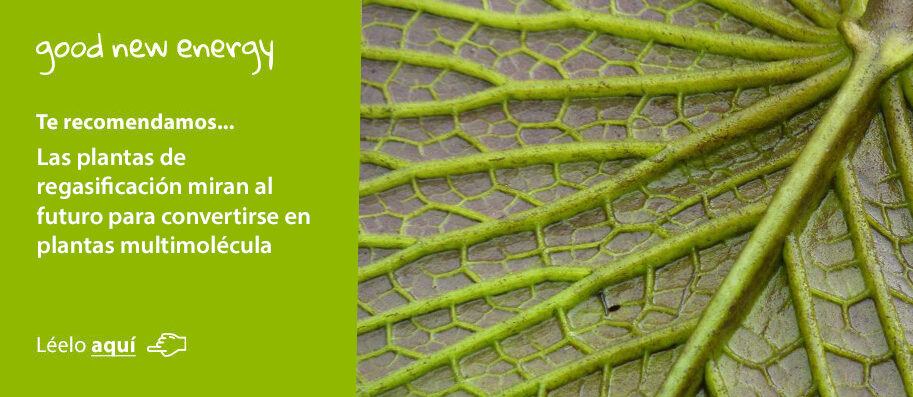 AyV-Banner-913x400
